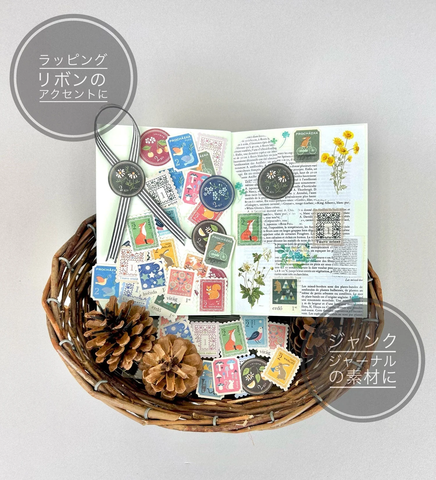 Imagen del producto 4